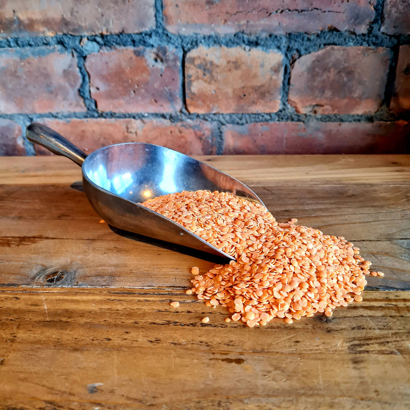 Red Lentils