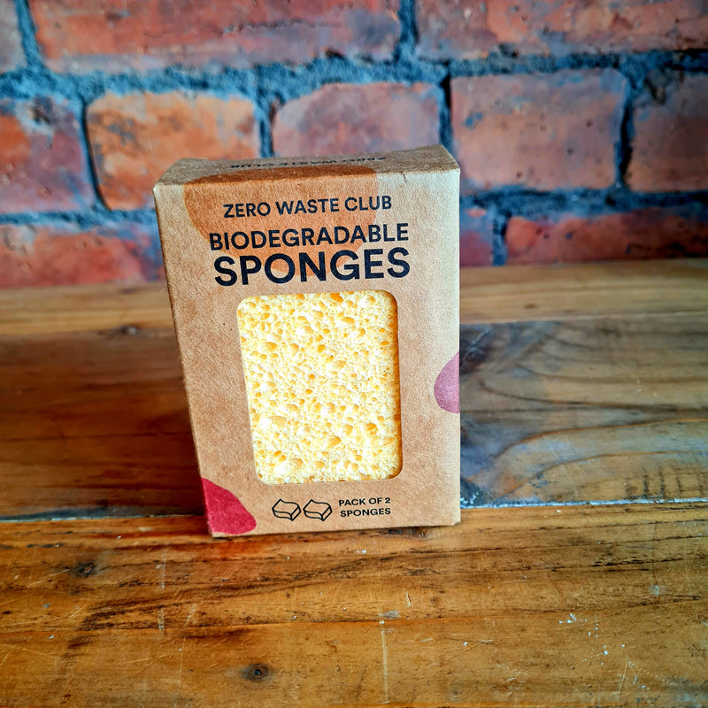 Biodegradable Kitchen Sponges (2 pack)
